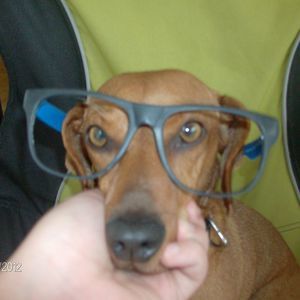 Meet your Posher, Joyce